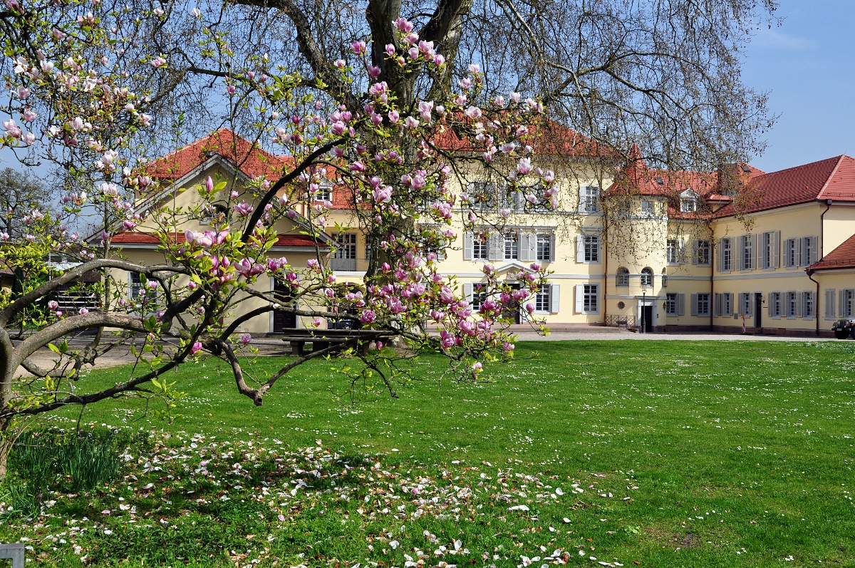 Schloss Neckarhausen